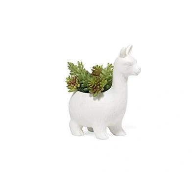Image of KIKKERLAND Lloyd The Llama Planter