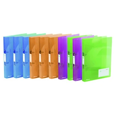 Image of Rexel Ice A4 Ring Binder Assorted Colour (Pack of 10)