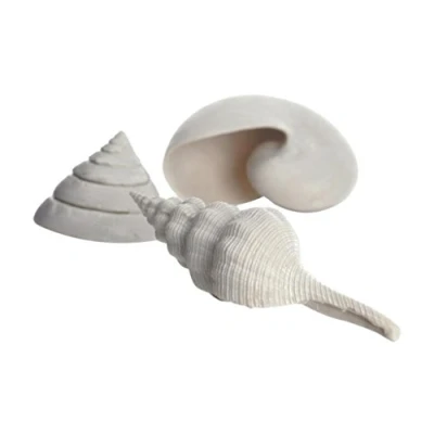Image of biOrb Shell Set 3 white
