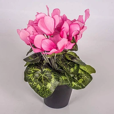Image of artplants.de Artificial Cyclamen Plant in Pot with 12 Light Pink Flowers measuring 25cm.