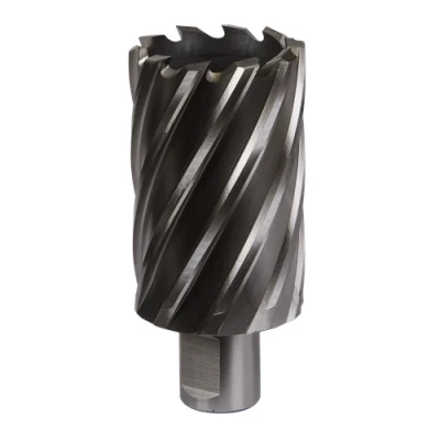 Image of Worksafe Rotabor Cutter HSS Ø40mm Cut Depth 50mm