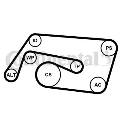 Image of 6PK2260 V ribbed belt set CONTITECH 6PK2260K2 MERCEDES BENZ: C Class T modell, CLK Coupe, Saloon