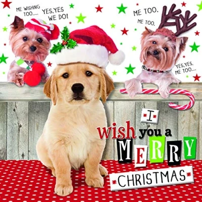 Image of Cute Xmas Card, Dog Christmas Card Generic, Cards, For Her, Generic Card,Dog Cards Him