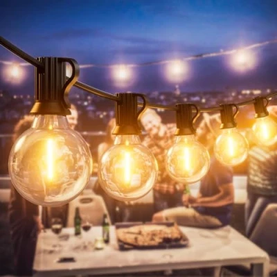 Image of LUCUHM 15M 50FT Festoon Lights Outdoor LED Garden String Mains Powered Light Waterproof for Patio Gazebo Balcony Outside