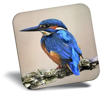 Image of Destination Vinyl ltd Fridge Magnet Wild Blue Male Kingfisher Bird 15795