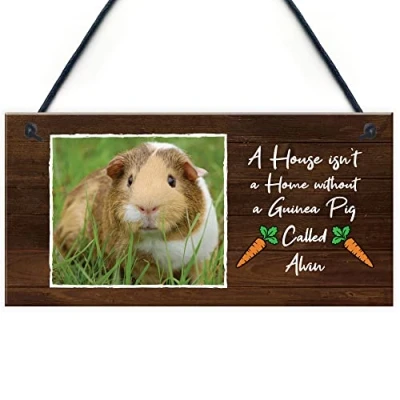 Image of RED OCEAN Personalised Photo Guinea Pig Sign Home Decor Lover Gift For Family