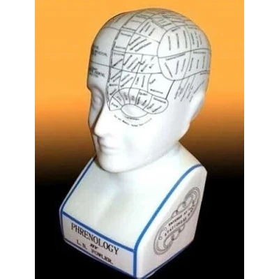 Image of Freshnewlooks phrenology head L.N fowler porcelain ceramic 12&#039;&#039; Antique off crackle glaze