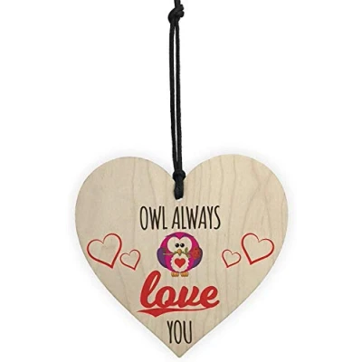 Image of RED OCEAN Owl Always Love You Novelty Wooden Hanging Heart Plaque Friendship Gift Sign