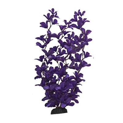 Image of Purple Rotala Silk Like Plant 30cm by KenKoi