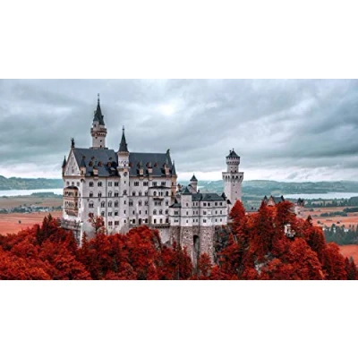 Image of SHILIHOME Neuschwanstein Castle Germany Painting By Numbers Diy Unique