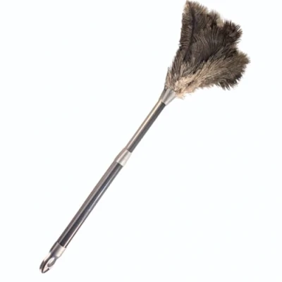 Image of OfficeGear Extendable Genuine Ostrich Feather Duster [62 78cm] Cleaning Lights, Doorways, Skirting, Cupboards, Ceilings