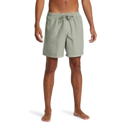 Image of Quiksilver Everyday Surfwash Volley Swimming shorts, Men&#039;s, Size: XS, Desert sage
