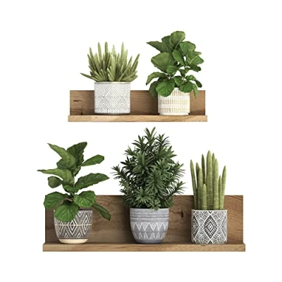 Image of Green Potted Plant Wall Decal Waterproof Removable Bonsai Wallpaper Sticker for Living Room Bedroom Offices Decoration
