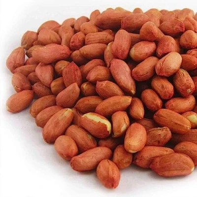 Image of GardenersDream Whole Peanuts for Wild Birds (1kg) Premium Quality Fresh Bird Food, Aflatoxin Free Nuts High Protein, Energy Rich Feed Nutritious Vitamins &amp; Essential Oils