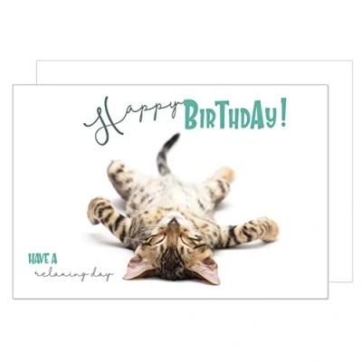 Image of Edition Seidel Premium Birthday Card with Envelope. Greetings Billet Happy Greeting Man Woman Animal Cat Humour Funny (G3420 SW023)