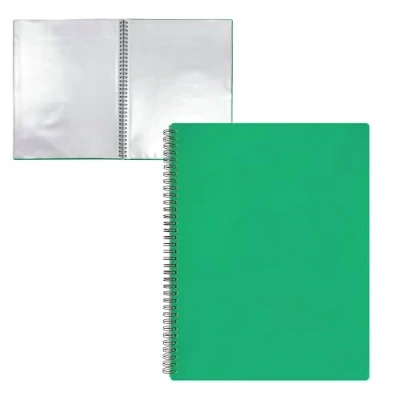 Image of RAYLU PAPER File Folder with Clear A4 Plastic Sleeves and Durable Opaque Polypropylene Cover Document for School Office (20 Pockets, Green)