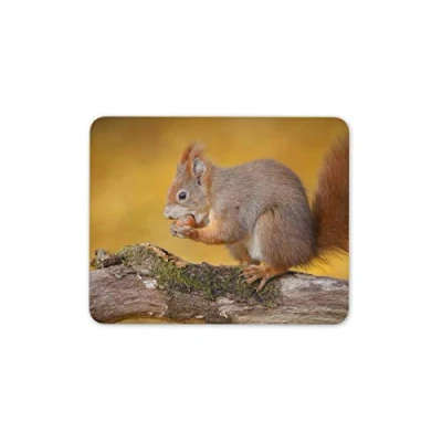 Image of Destination Vinyl ltd Adorable Squirrel Mouse Mat Pad Nature Wild Animal Office Computer #14163