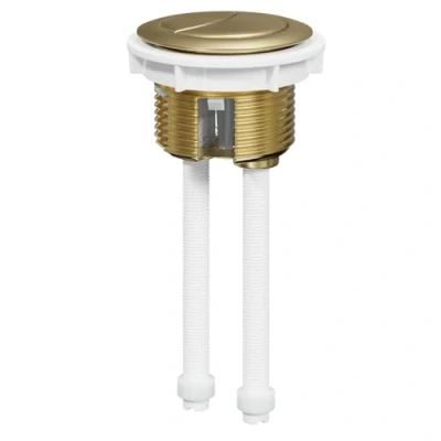 Image of Wholesale Domestic Colore Round Brushed Brass 48mm Dual Flush Push Button