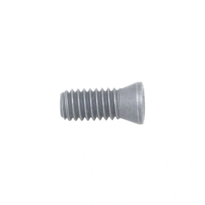 Image of Indexa DS3.0 X 8.2 (T9) Insert Screw