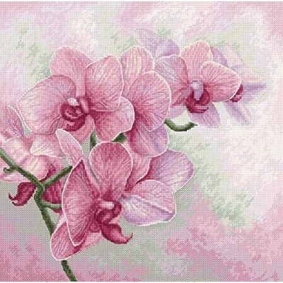Image of Luca S Counted DIY Cross Stitch Kit for Adults, Graceful Orchids B7009, Embroidery &amp; Needlecraft