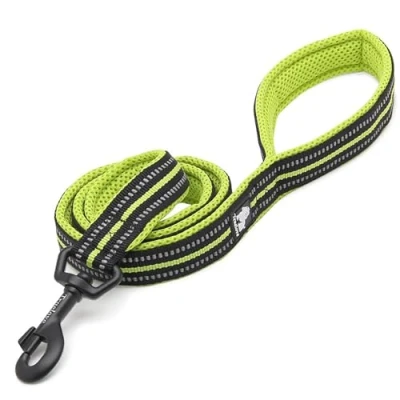 Image of TRUE LOVE Dog Leash Puppy Walking Lead Pet Chain Padded Reflective Night Safe Rope Length 110cm TLL2111(Neon Yellow,M)