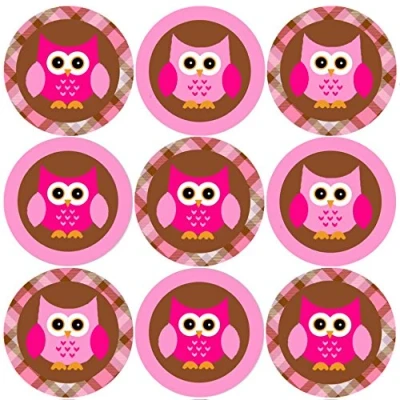 Image of 144 Pink Owl 30mm School Reward Stickers for Classroom, Parent