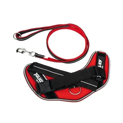 Image of IDC Powair Bundle Harness, Size: M/0, Red + Leash, 1,2 m with Handle and Large Carabiner,