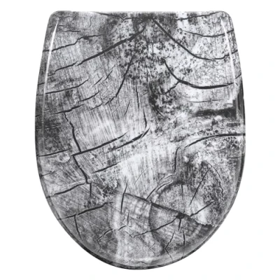 Image of WOLTU Toilet Seat with Soft Close Mechanism, Lid Quick Release Function, O Shape Motif, Mounting from Top Below, 175 kg Load Capacity