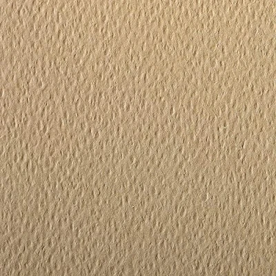 Image of Clairefontaine Ref 93766C Etival Coloured Grained Drawing Paper (24 Sheets of Paper) 50 x 65cm 160gsm Cellulose Art Camel Acid Free, pH Neutral