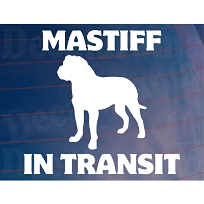 Image of Car Sticker Mastiff In Transit Nice Fun Cute Novelty Warning Van Window Bumper Boot Door Decal