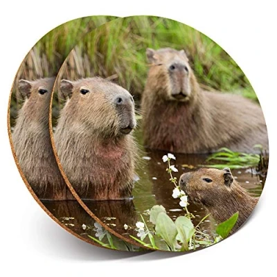 Image of 2 x Round Coasters Capybara Swimming Family Cork Backed Home Kitchen Accessory Tea Coffee Mug Mat #21314