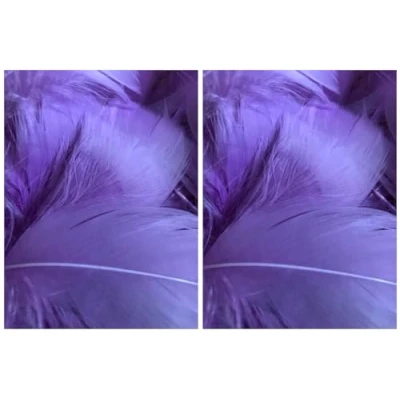 Image of Violet Feathers, 100 Pack (2 Pack)