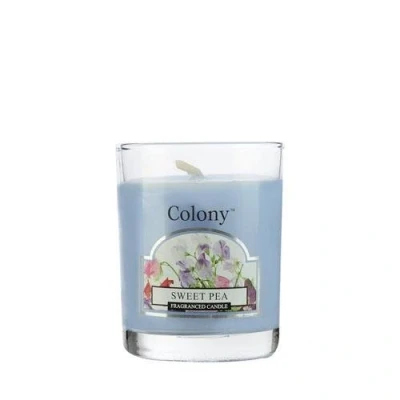 Image of Wax Lyrical Colony Sweet Pea Votive Candle In holder
