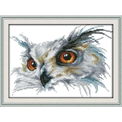 Image of CaptainCrafts Cross Stitch Kits, Owl Counted Unpreprinted Fabric DMC DIY Art Embroidery Kits (Unpreprinted 14CT, Owl)