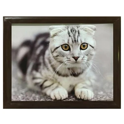 Image of Cute Cat Cushioned Bean Bag laptray Home Laptop Tray Drinks Food Breakfast Lap Lover