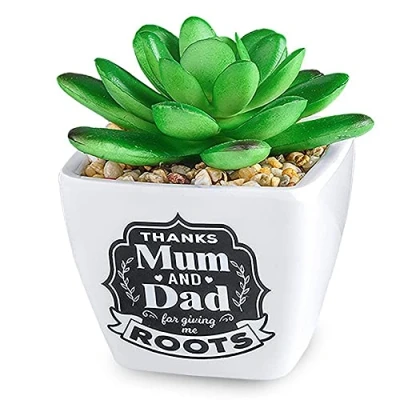 Image of History &amp; Heraldry Personalised Sentiment Succulents Mum Dad