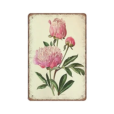 Image of DAIERCY 1970 Vintage Chinese Peony Tin Signs Pink Floral Gift Botanical Funny Metal Sign Plaqu Poster Wall Art Pub Bar Kitchen Garden Bathroom Home Decor, 140 X 200 mm