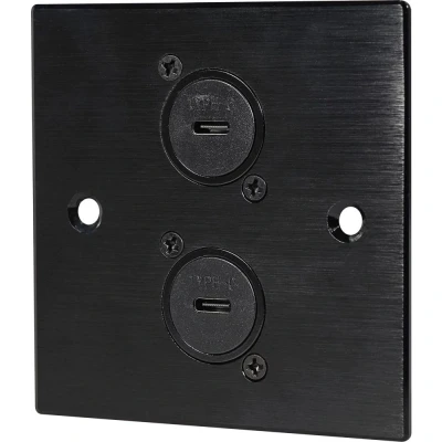 Image of 2 x USB C Sockets Wall Plate