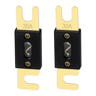 Image of Heschen ANL Fuse 30 Amp for Car Vehicles Audio System Sheet Gold Tone &amp; Black 2 Pack