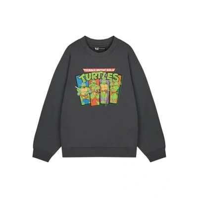 Image of TEENAGE MUTANT Ninja Turtles Mens Grey Sweatshirt Retro TMNT Graphic Sweater Classic Apparel Leonardo, Donatello, Michelangelo &amp; Raphael Vintage Cartoon for Men