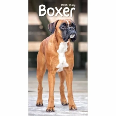 Image of Carousel Calendars Boxers Slim Diary 2025 (PFP)