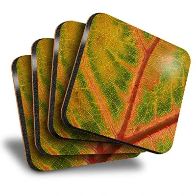 Image of Destination Vinyl ltd Great Coasters (Set of 4) Square Orange Green Leaf Macro Image Drink Glossy Coasters/Tabletop Protection for Any Table Type #45940