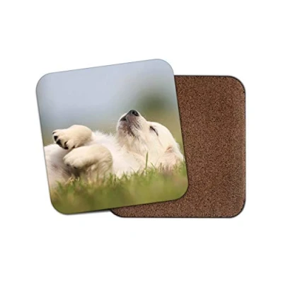 Image of 1 x Labrador Puppy Cork Backed Drinks Coaster Golden Retriever Dog Dogs #8437