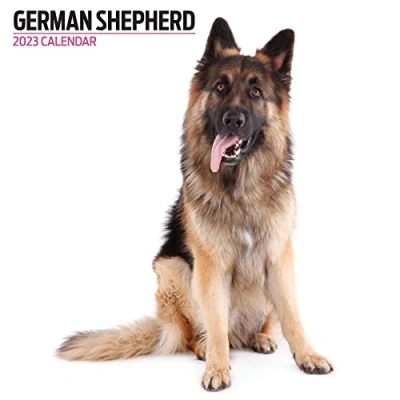 Image of Magnet &amp; Steel Shepherd 2023 Modern Calendar, Multi Colour