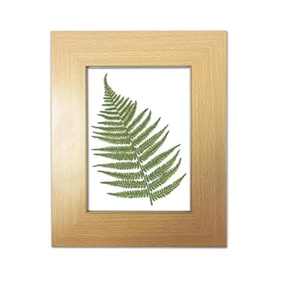 Image of Beautiful Beech Wooden Photo/Picture Frame 5 x 7 (13cm 18cm) Home Wall Shelf