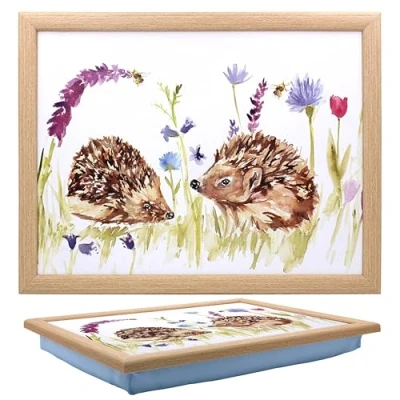 Image of Tamersgifts Cushioned Laptrays Lap Tray TV Dinner Bean Bag Padded Cushion Gift (Hedgehog Laptray)