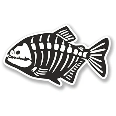 Image of 2 x Skeleton Fish Sticker Fishing Box Car Bike Laptop Decal #4111 (10cm Wide 5.8cm Tall)
