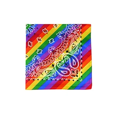 Image of HENBRANDT Rainbow Paisley Print Bandana for Men and Women Head Covering Neckerchief Scarf Headband Neck Warmer Face Cover Hair Gay Pride LGBTQ Clothes Accessories