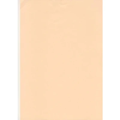 Image of Salmon Card A4 160gsm 100 Sheets Coloured / Craft #1104