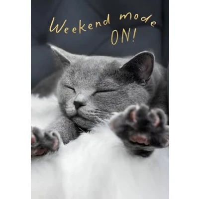 Image of Funny Male/Female Birthday Card for Him/Her Humorous General Men/Women Special Finish Sleepy Cat Design Weekend Mode On! Made in the UK Eco Friendly